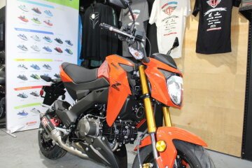 2025 Kawasaki Z125 Pro