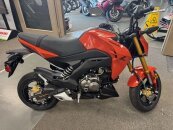 New 2025 Kawasaki Z125 Pro