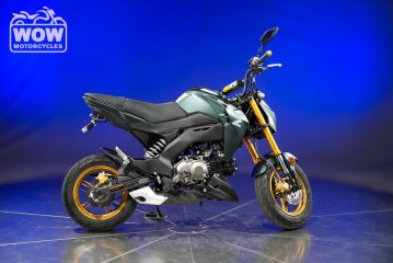 2025 Kawasaki Z125 Pro