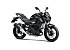 New 2025 Kawasaki Z500 ABS