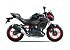 New 2025 Kawasaki Z500