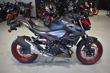 New 2025 Kawasaki Z500