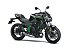 New 2025 Kawasaki Z650