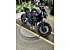 New 2025 Kawasaki Z650