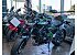 New 2025 Kawasaki Z650