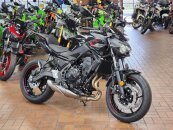 New 2025 Kawasaki Z650