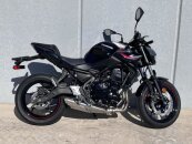 New 2025 Kawasaki Z650