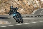 Thumbnail Photo 6 for New 2025 Kawasaki Z900 ABS