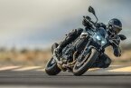 Thumbnail Photo 3 for New 2025 Kawasaki Z900 ABS