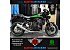 New 2025 Kawasaki Z900