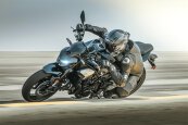 New 2025 Kawasaki Z900 ABS