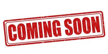 2025 Kawasaki Z900 SE ABS