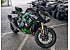 New 2025 Kawasaki Z H2
