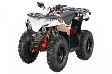 New 2025 Kayo Bull 110