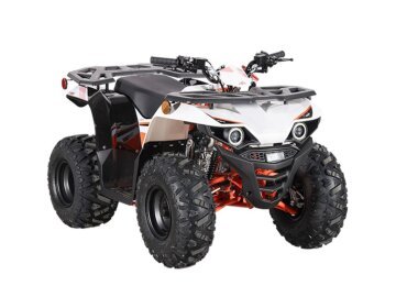 New 2025 Kayo Bull 110