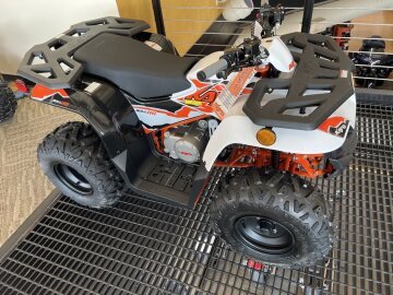 New 2025 Kayo Bull 110