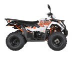 Thumbnail Photo 1 for New 2025 Kayo Bull 300