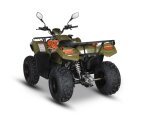 Thumbnail Photo 3 for New 2025 Kayo Bull 300