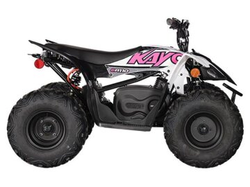 New 2025 Kayo EA110