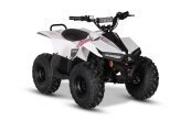 New 2025 Kayo EA70