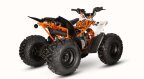 Thumbnail Photo 5 for New 2025 Kayo Predator