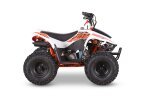 Thumbnail Photo 1 for New 2025 Kayo Storm 70