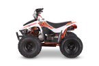 Thumbnail Photo 5 for New 2025 Kayo Storm 70