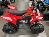 New 2025 Kayo Storm 70
