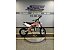 New 2025 Kayo TT 125