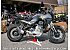 New 2025 Moto Guzzi Stelvio