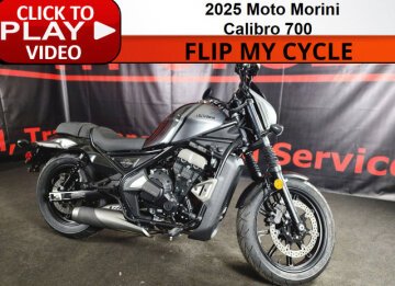 New 2025 Moto Morini Calibro