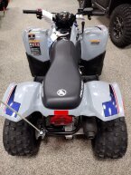 Thumbnail Photo 1 for New 2025 Polaris Phoenix 200