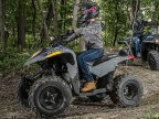 Thumbnail Photo 6 for New 2025 Polaris Phoenix 200