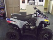 New 2025 Polaris Phoenix 200