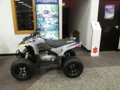 New 2025 Polaris Phoenix 200