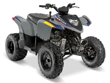 New 2025 Polaris Phoenix 200