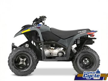 New 2025 Polaris Phoenix 200