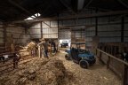 Thumbnail Photo 4 for New 2025 Polaris Ranger 150