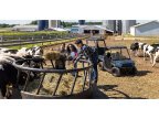 Thumbnail Photo 5 for New 2025 Polaris Ranger 150