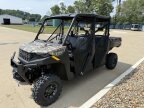 Thumbnail Photo 4 for New 2025 Polaris Ranger Crew 1000 Premium
