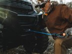 Thumbnail Photo 4 for New 2025 Polaris Ranger Crew XP 1000