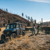 New 2025 Polaris Ranger Crew XP 1000 NorthStar Ultimate