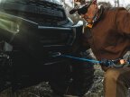 Thumbnail Photo 5 for New 2025 Polaris Ranger XP 1000 Premium