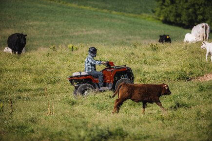 Photo 1 for New 2025 Polaris Sportsman 450 H.O. Utility