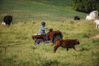 Thumbnail Photo 4 for New 2025 Polaris Sportsman 450 H.O. Utility