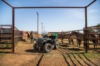 Thumbnail Photo 1 for New 2025 Polaris Sportsman 450 H.O. Utility