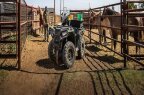 Thumbnail Photo 2 for New 2025 Polaris Sportsman 450