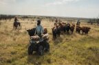 Thumbnail Photo 3 for New 2025 Polaris Sportsman 570 Premium