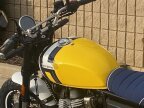 Thumbnail Photo 6 for New 2025 Royal Enfield Bear