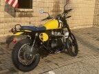 Thumbnail Photo 3 for New 2025 Royal Enfield Bear